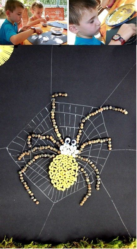 Autre petite bébête !....